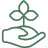 consulenza giardiniere vivai franceschetto teolo