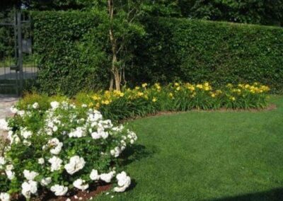 giardini vivai teolo_10