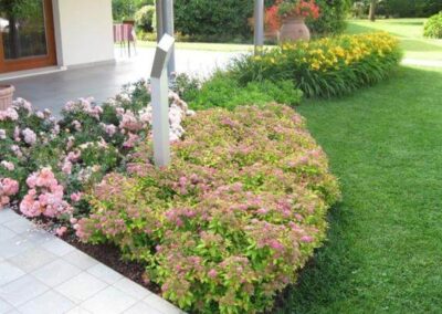 giardini vivai teolo_14