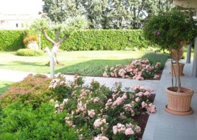 giardini vivai teolo_9
