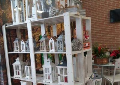 negozio piante teolo_12