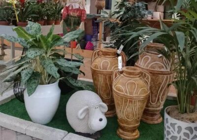 negozio piante teolo_2