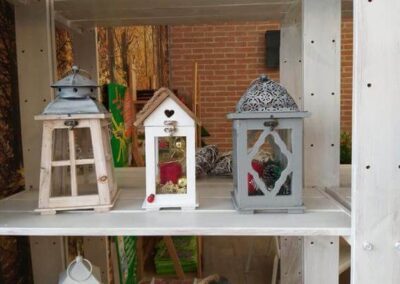 negozio piante teolo_7