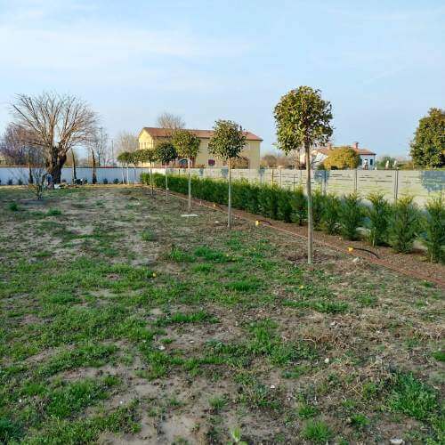 progetto giardino con siepe a teolo progetto giardino con siepe a teolo