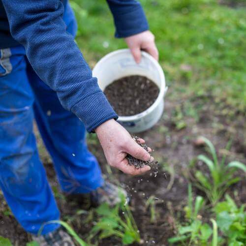 semina e concimazione piante a teolo semina e concimazione piante a teolo