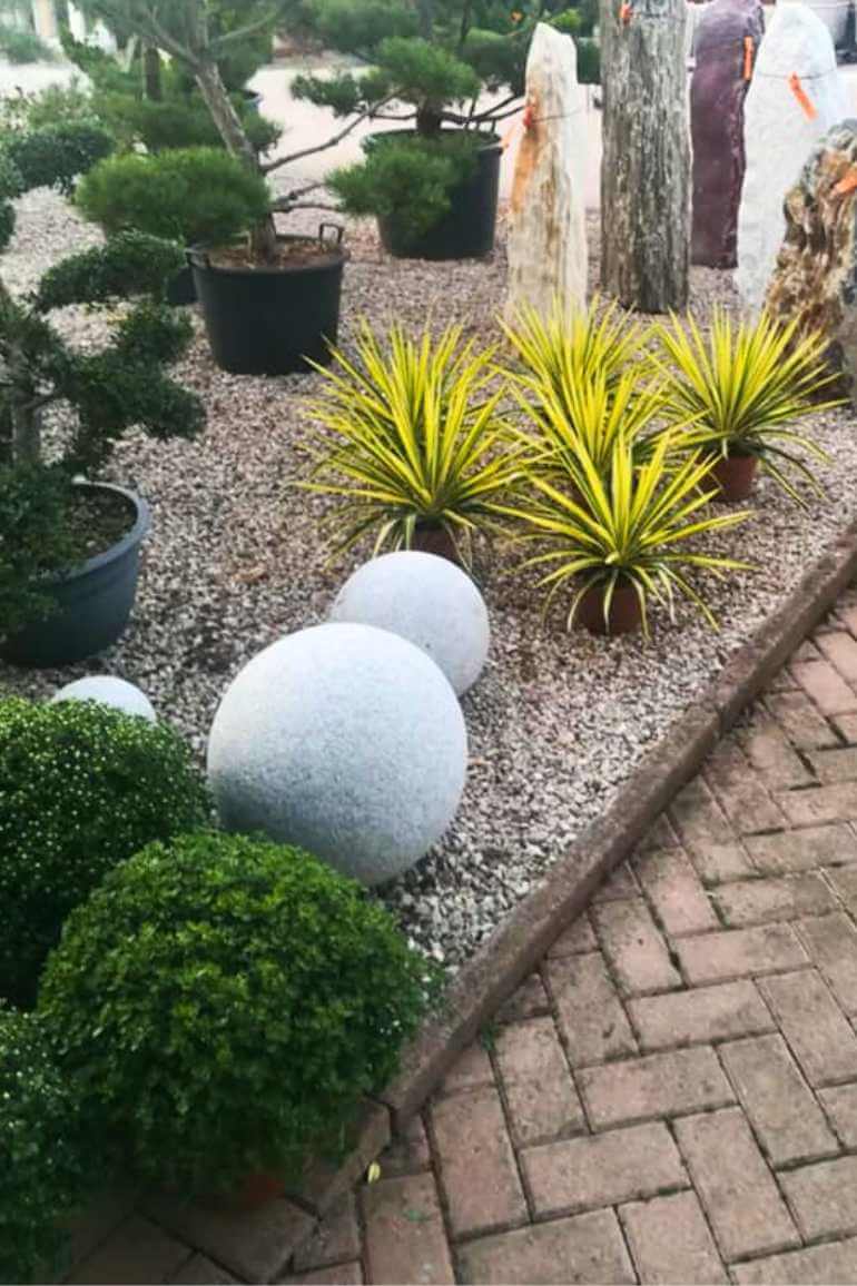 vendita piante da giardino a teolo padova